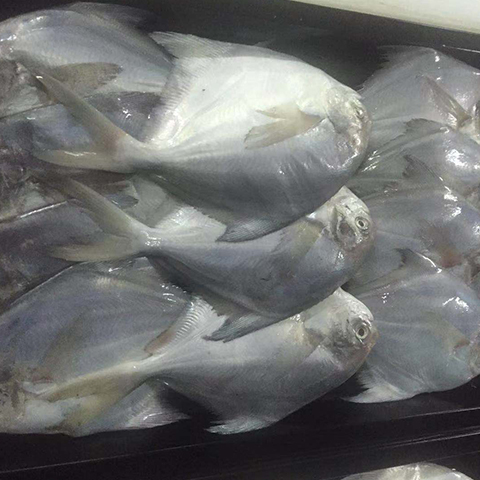 &#20247;&#24425;&#23448;&#32593;&#45;&#40;&#20013;&#22269;&#41;&#32929;&#20221;&#26377;&#38480;&#20844;&#21496;